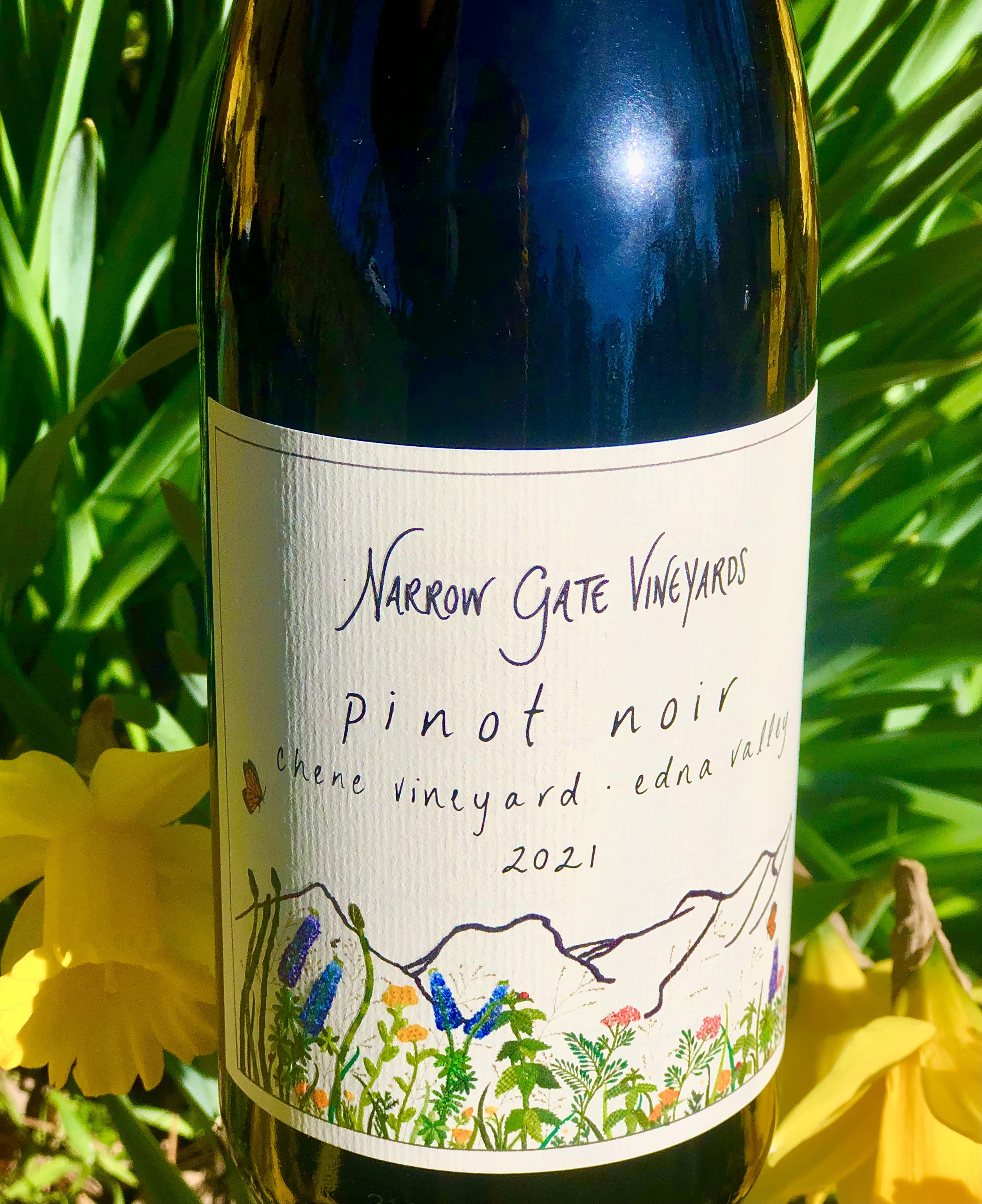 Product Image for 2021 Pinot Noir, Edna Valley